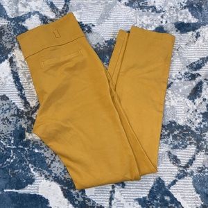 Mustard jeggings pant